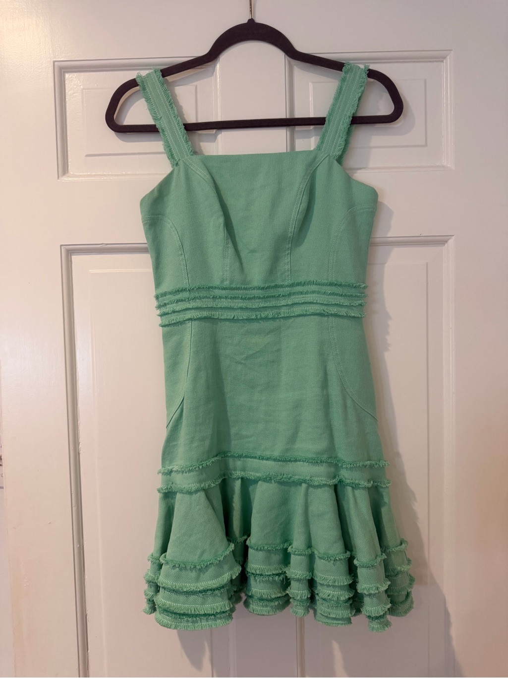 Alexis Mint Green Mini Dress